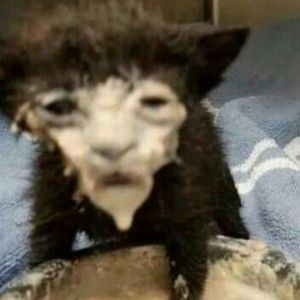 Meet your Posher, Caitlin